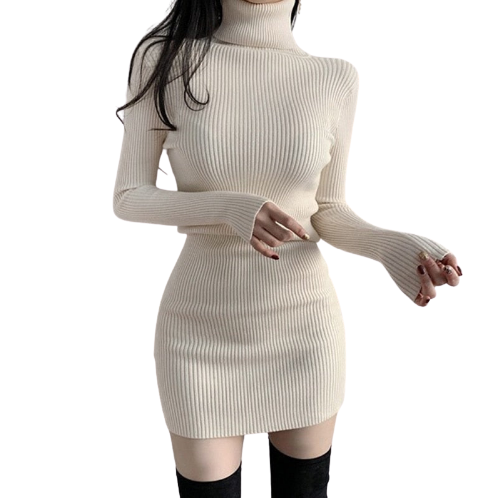 Women’s Ribbed Knit Mini Dress with Turtleneck and Long Sleeves